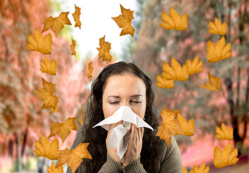 The most miserable cities for fall allergy sufferers MDLinx