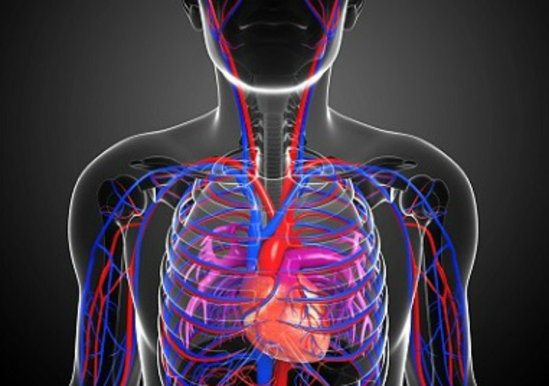 New delivery system for treatment of pulmonary arterial hypertension is ...