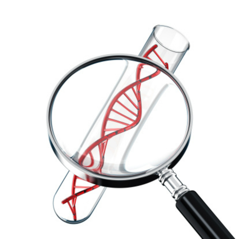 Red Dna Testing DNA-based blood test finds early cancer like a 'needle in a haystack ...