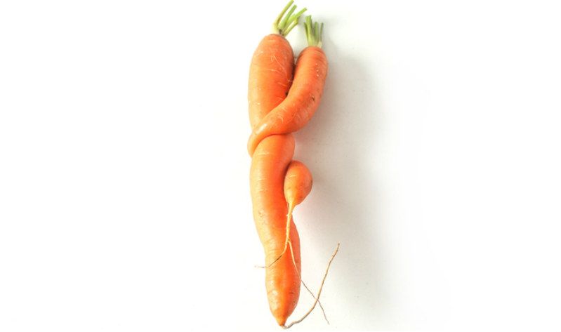 Carrot For Sperm Quality - Telugu Health News