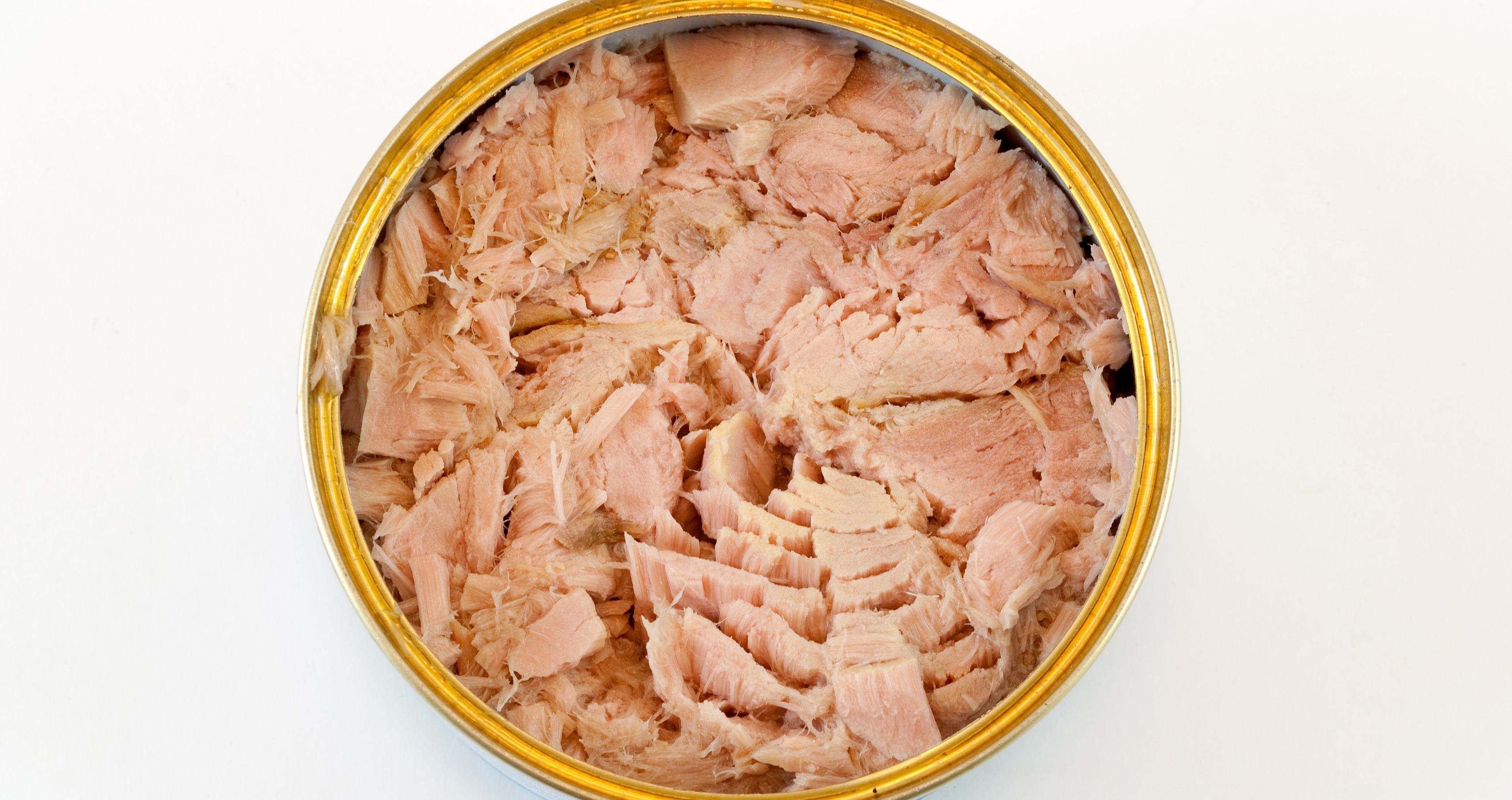 New findings report unsafe mercury levels in 5 common tuna brands MDLinx