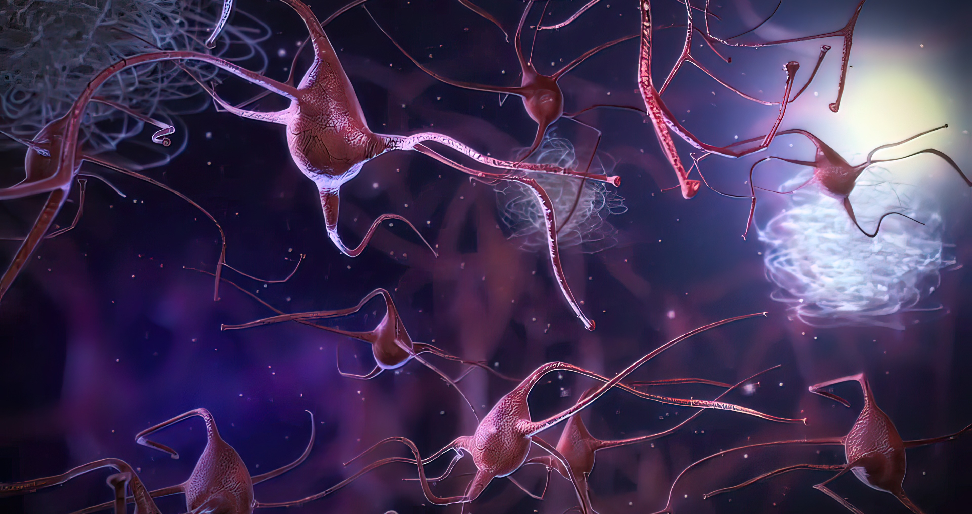 A new clue in Alzheimer’s could rewrite what we know about the disease ...