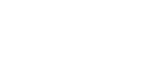 Camaloon