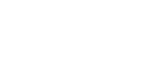 NTT Data