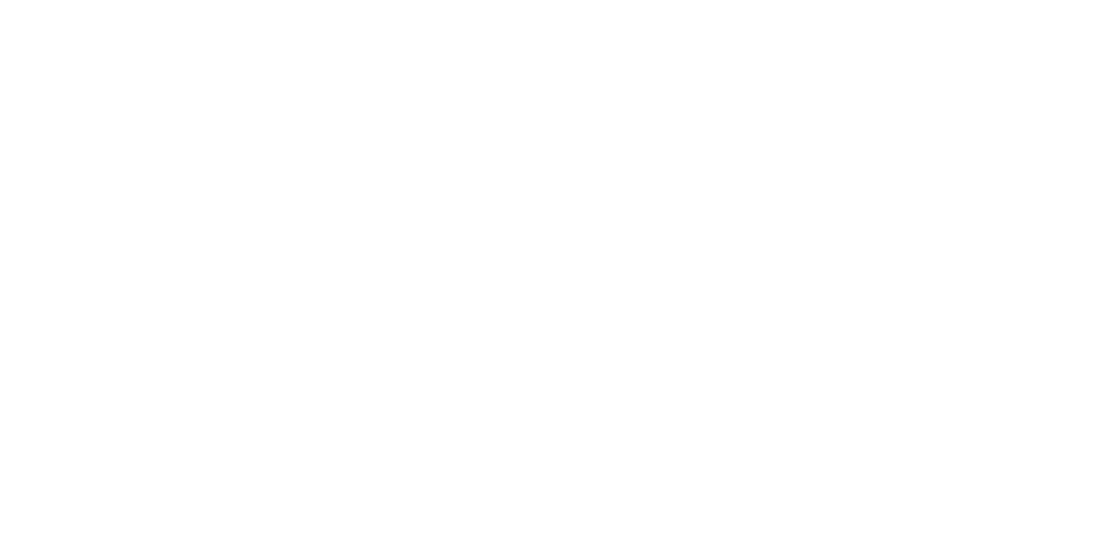 Navarro y Soler