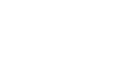 Ansys