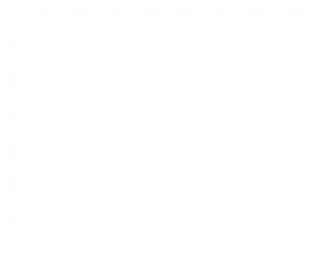 RS Iberia