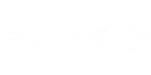 Forza
