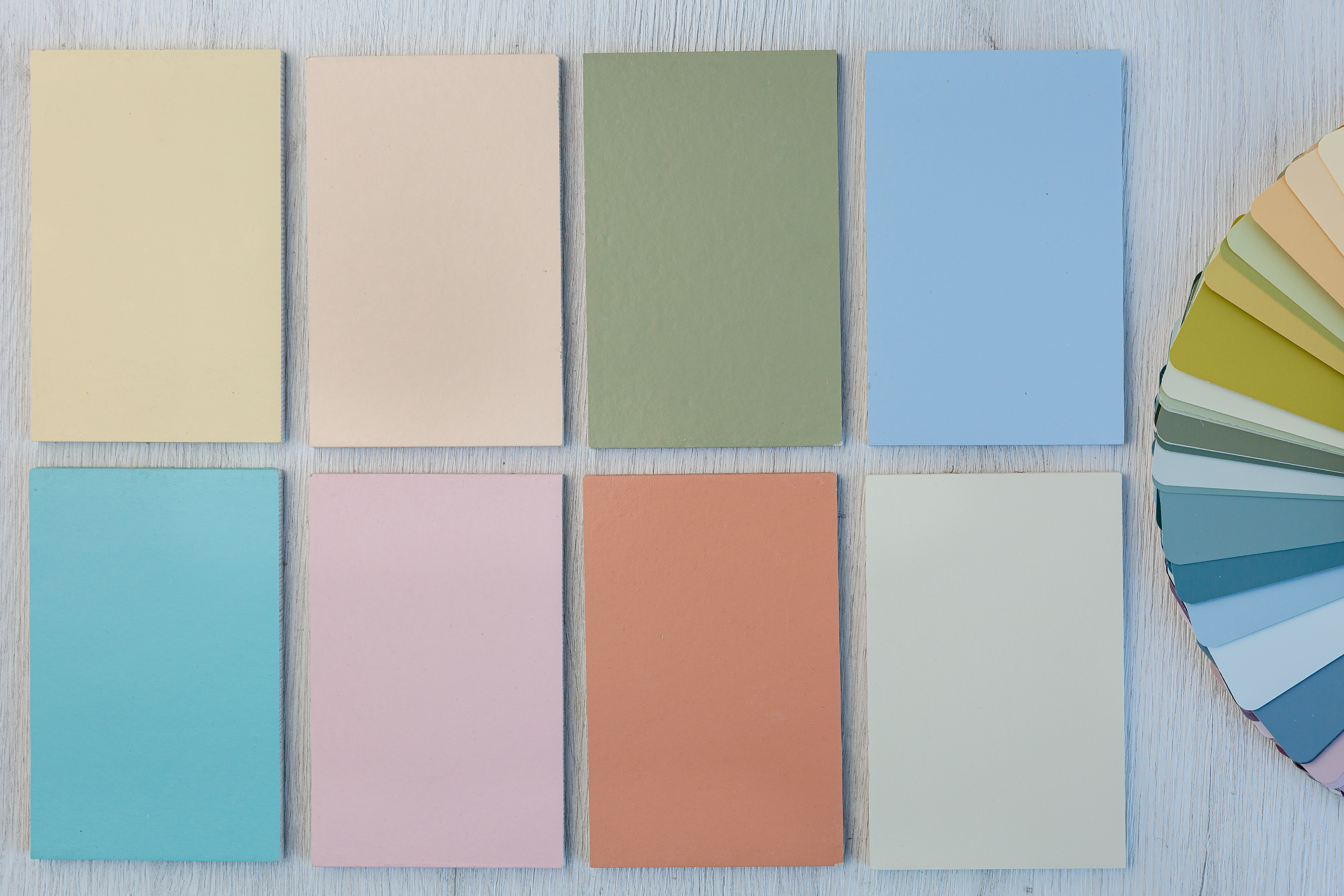 flat lay of paint swatches