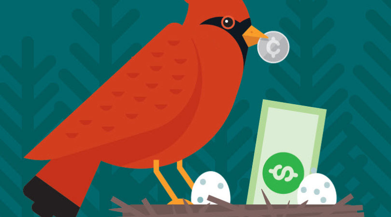 The cover of a PDF discussing ways to build your savings with an image of a cardinal bird putting money in a nest.