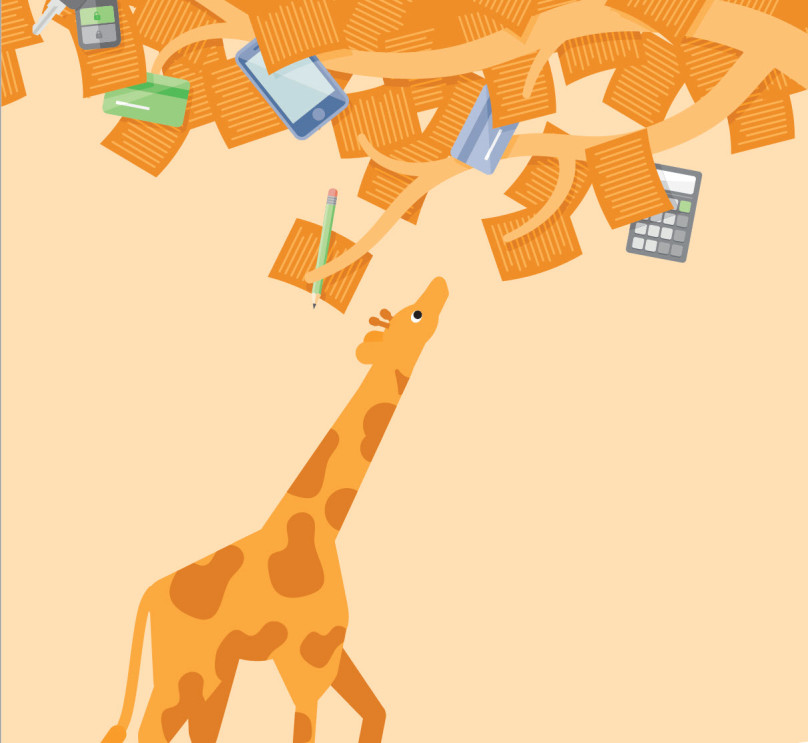 The cover of a PDF discussing ways your credit can work for you with an image of a giraffe. 