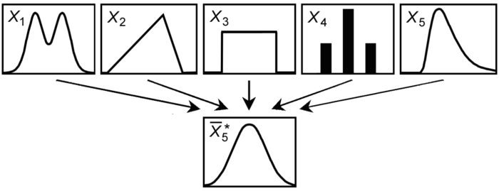 Example of different types of distributions