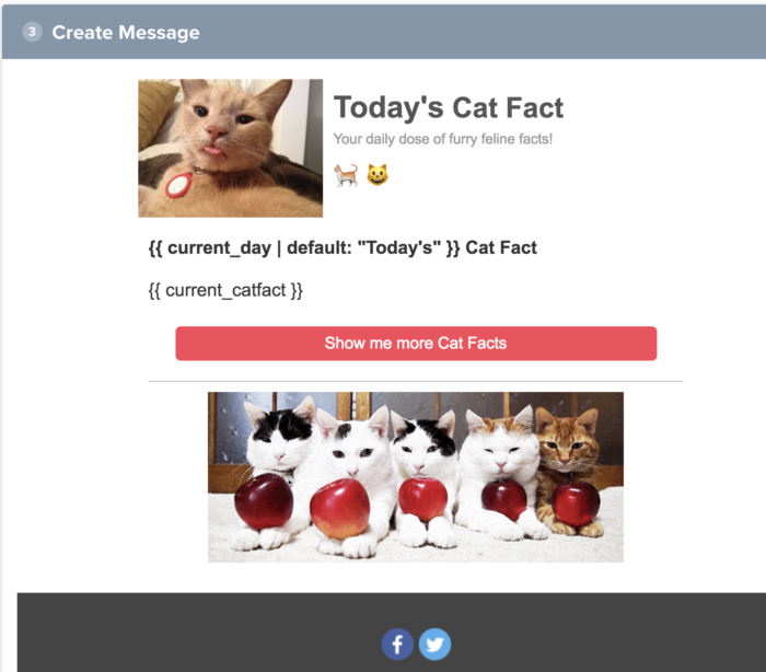 OneSignal email example with cats