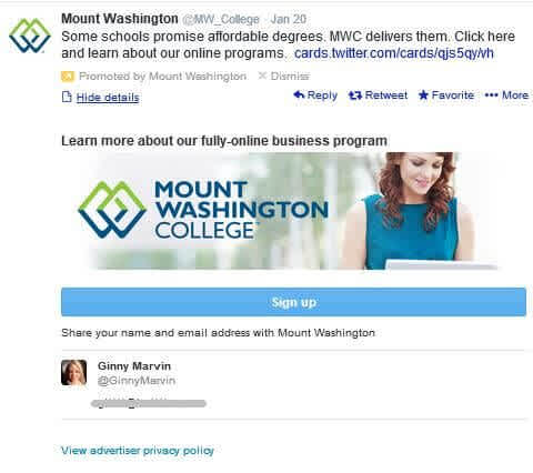 Beispiel einer Twitter Lead Gen Card von Mount Washington. Quelle: marketingland.com