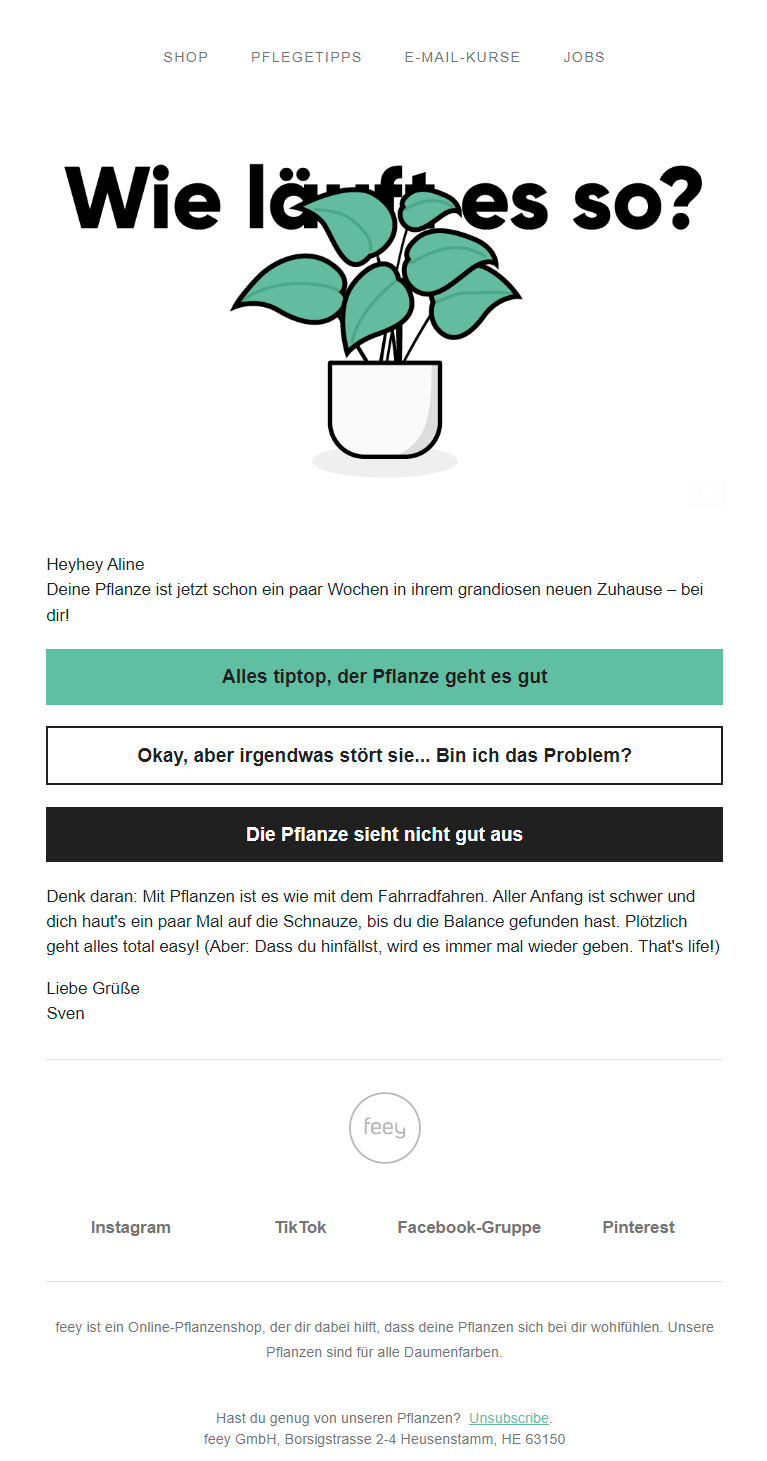 Screenshot einer Feedback-E-Mail