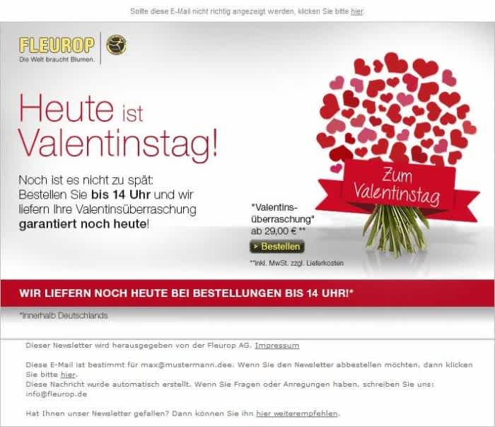 Abbildung, die einen Newsletter von Fleurop zum Valentinstag mit einem spezifischen Angebot anzeigt.