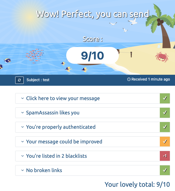Screenshot of results from Mail Tester