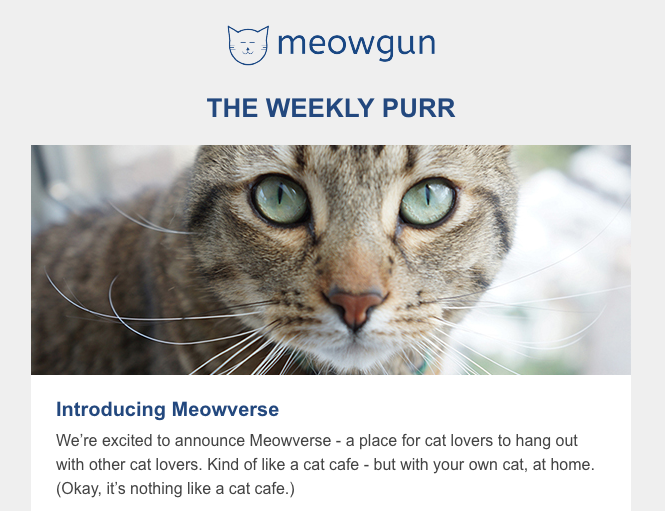 Newsletter called "The Weekly Purr" from Meowgun with cat image