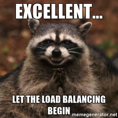 Raccoon meme about load balancing with meme text