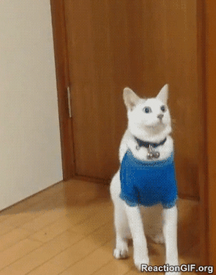 giphy-13_exported_from_WP?w=78&h=99&q=50&fm=webp 78w