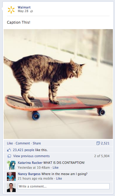 Walmart social media cat caption post