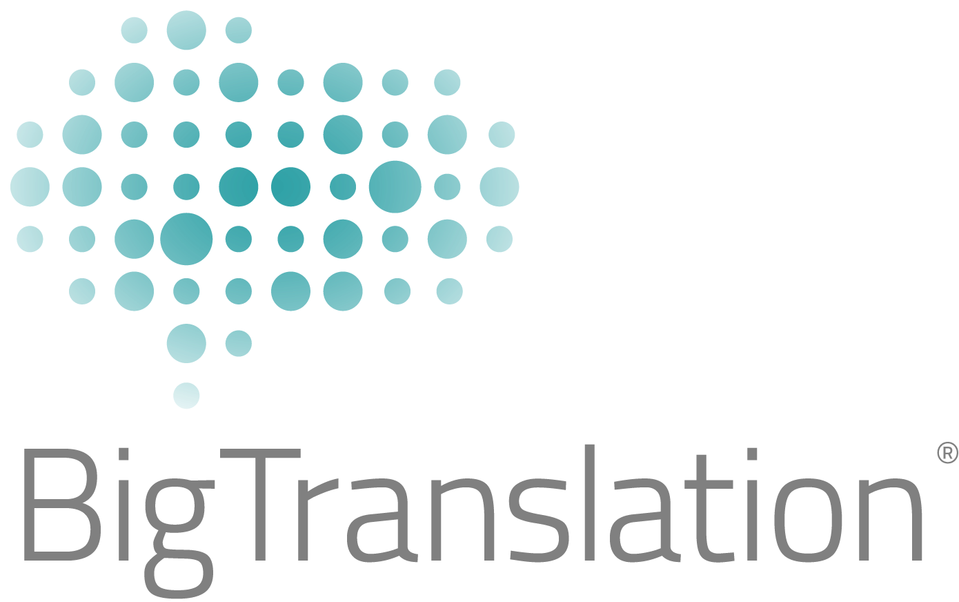 BigTranslation Success Story Logo