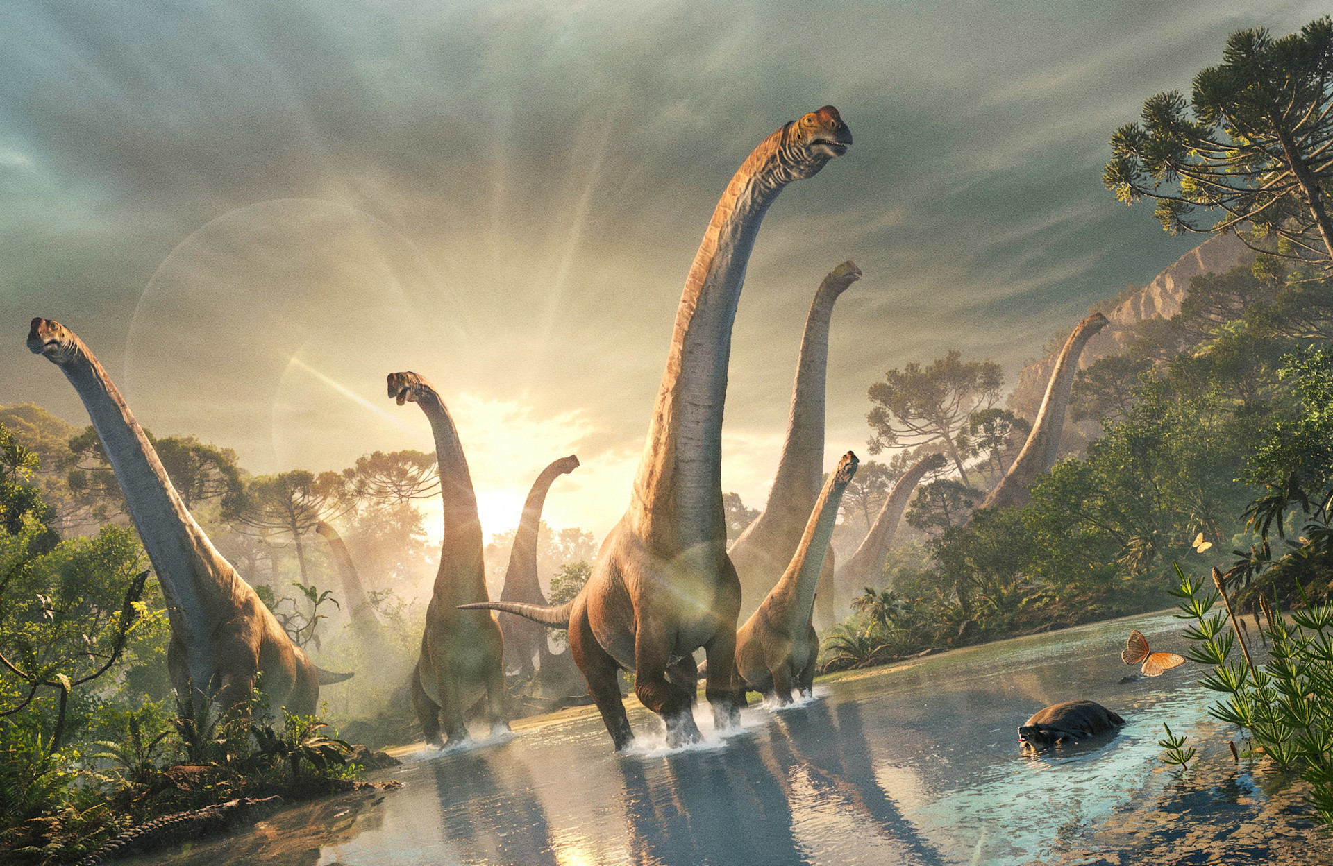 Banner background image