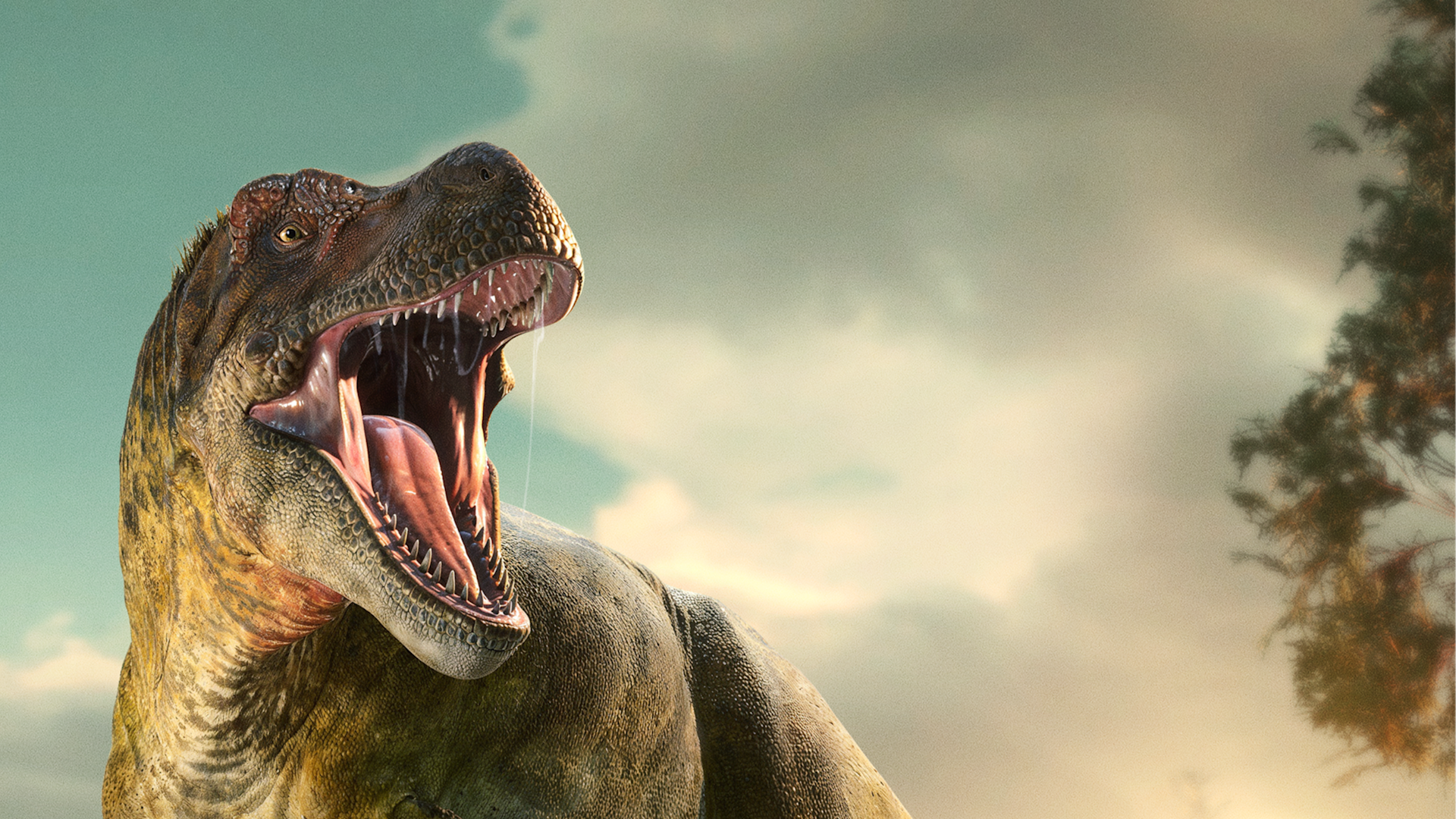 Banner background image