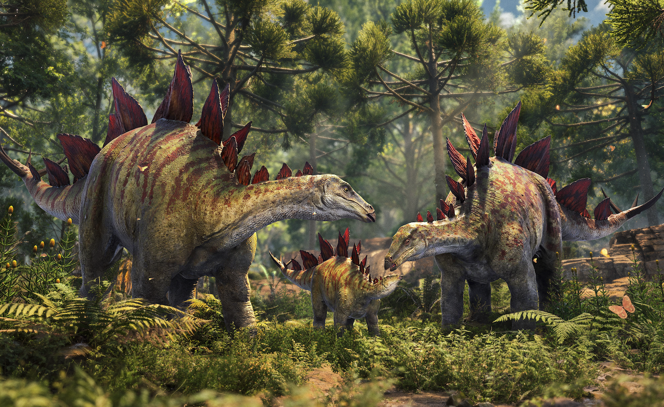 Stegosaurus Age of Dinosaurs