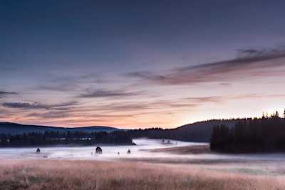 A river flows in you