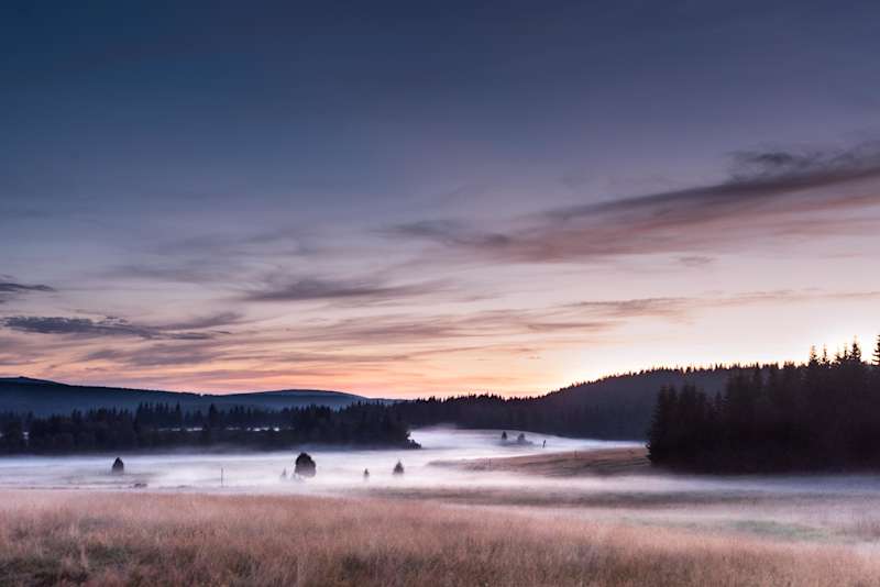 A river flows in you