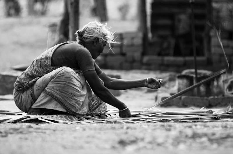 A woman in rural southern India, weaving the roof of her hut from coconut leaves.