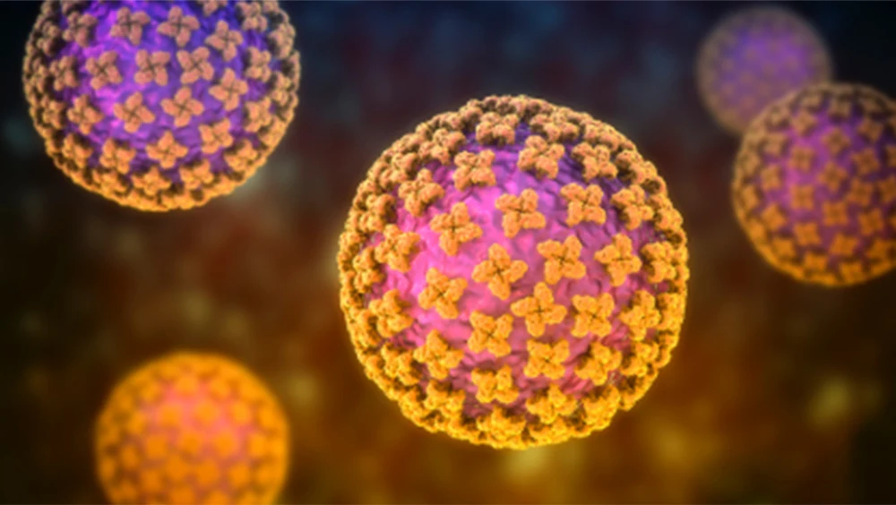 Microscopic view of hantavirus