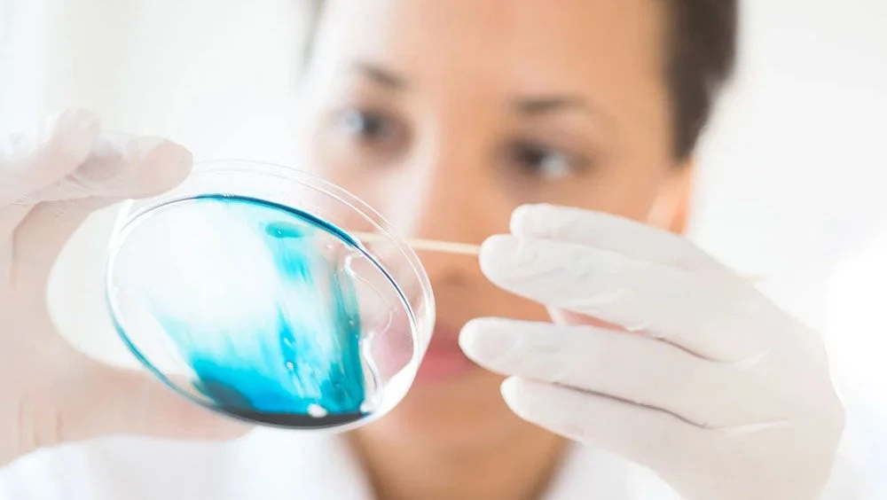petri-dish.jpg
