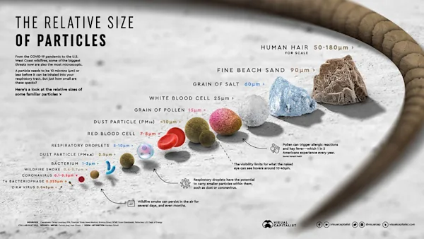 infographic showng relative size of various particles