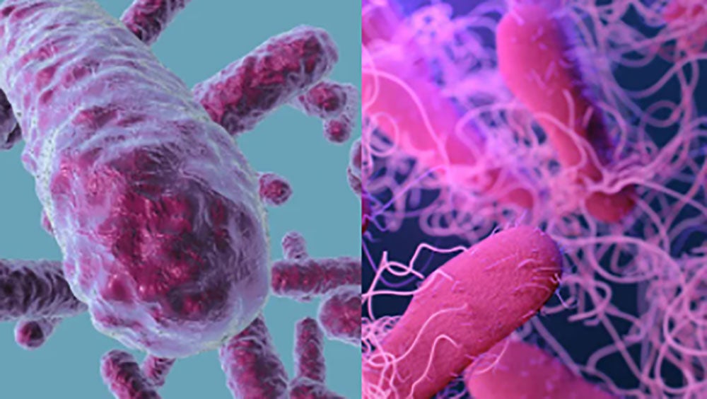 Pathogen Transmission Routes | CloroxPro