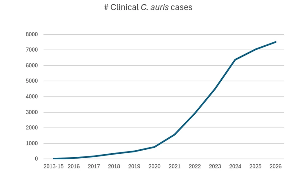 A graph showing the growing number of clinical C. auris cacses from 2013 to 2026