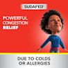 Sudafed® for powerful congestion relief due to colds or allergies