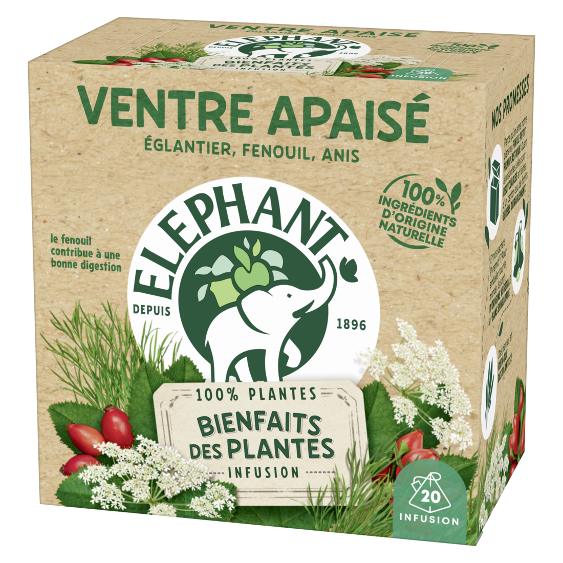 Eléphant lance des tisanes aux plantes françaises