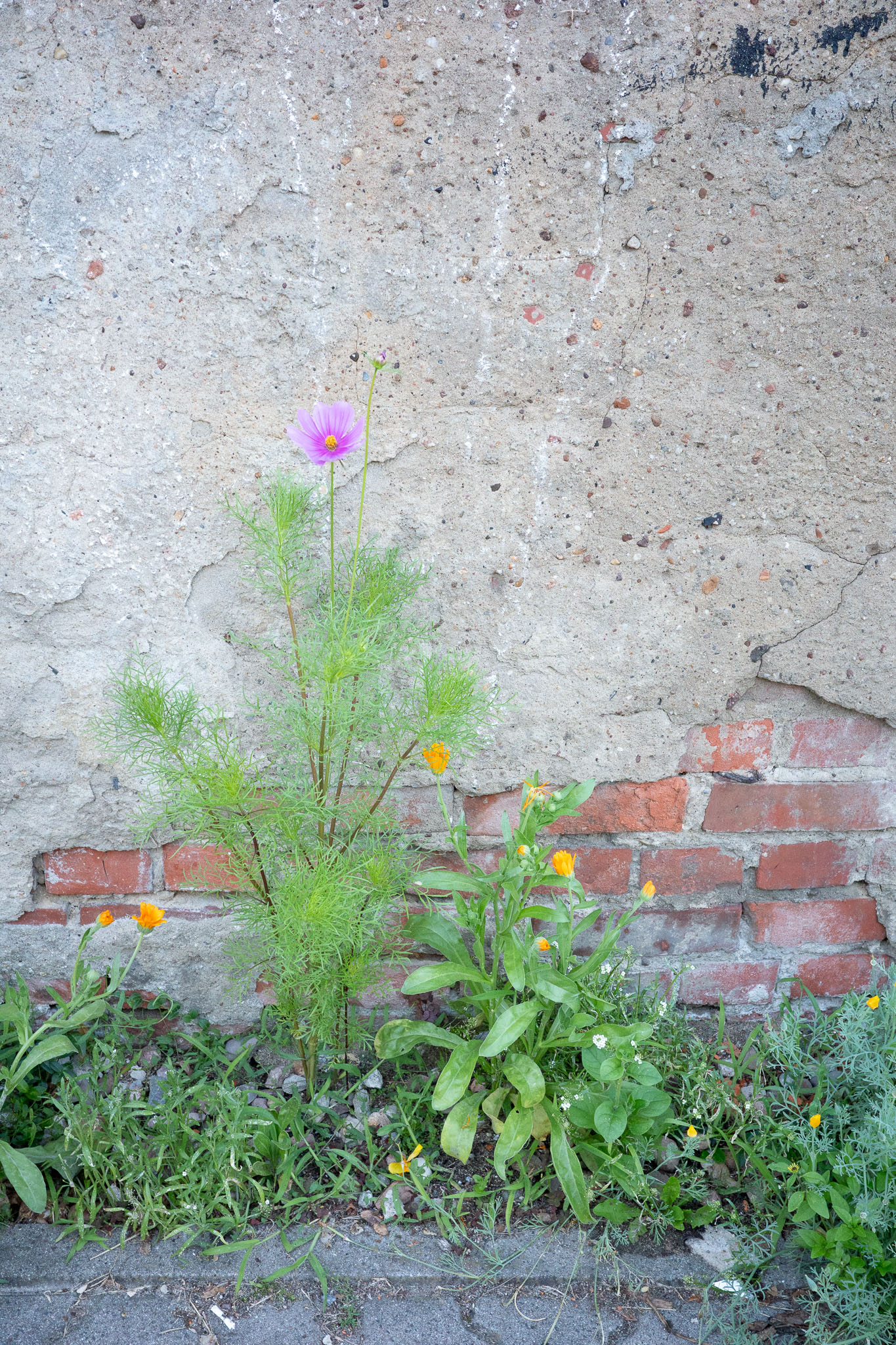 Singles - Image 6
