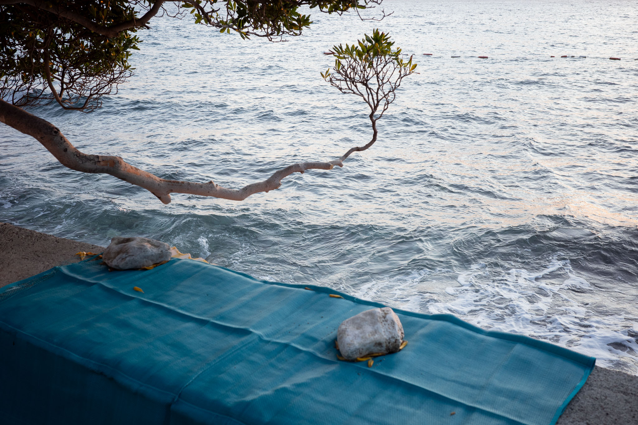 Singles - Image 16