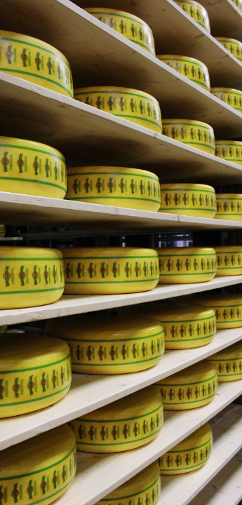 Savoir faire et qualité