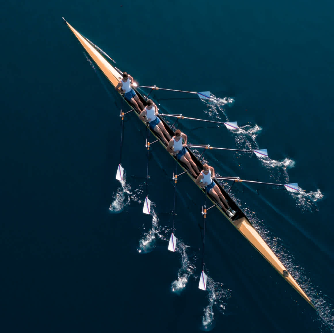 Aerial shot of people rowing
