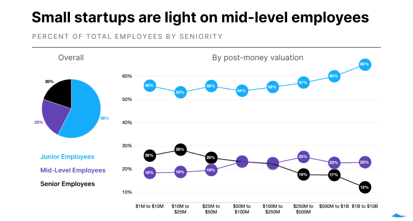 Pie chart and line graph side by side. Both show the percent of employees that are in junior, mid-level, or senior roles. Junior employees are the most common.