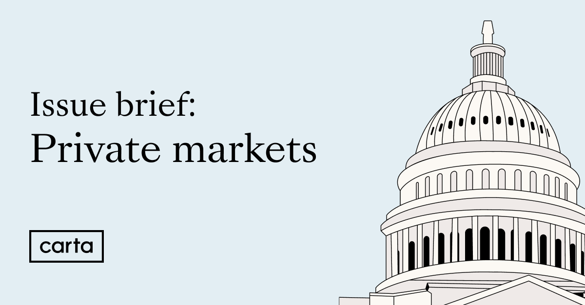Private markets: Issue brief