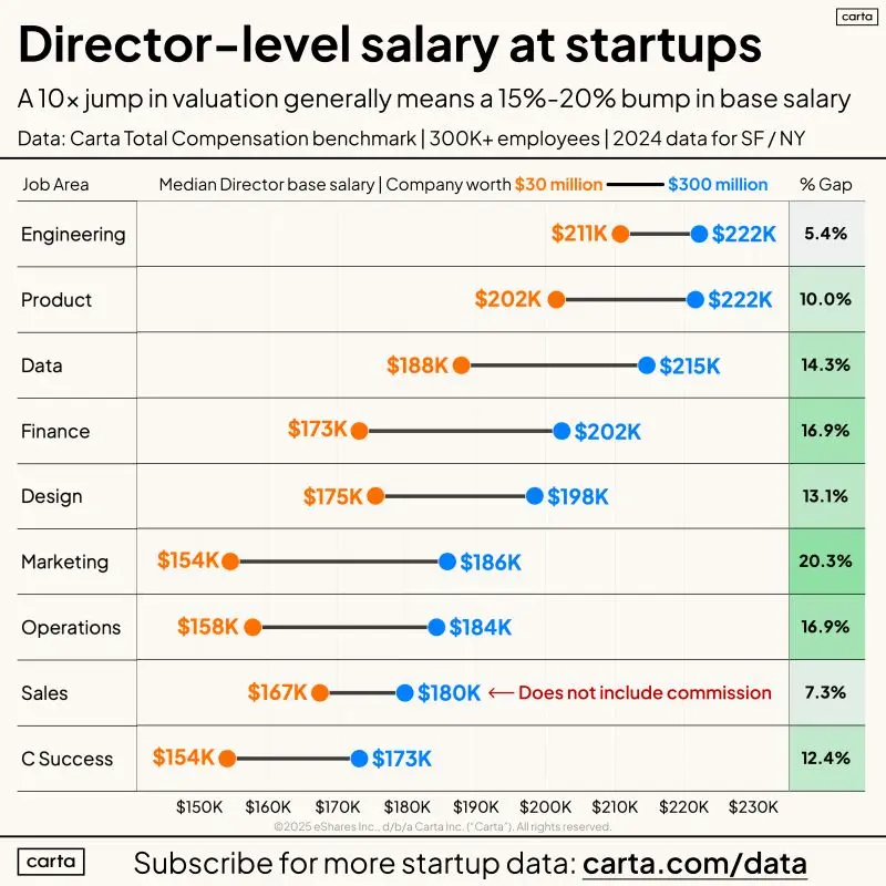 Should You Take the Director Offer at a 30M or 300M Startup