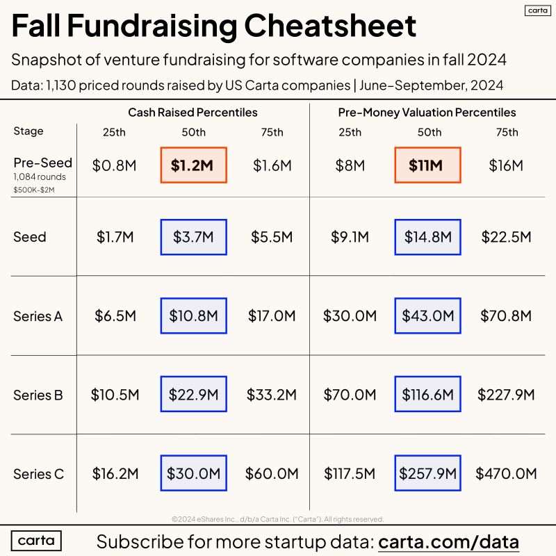 Fall 2024 Fundraising Data for Software Startup Founders