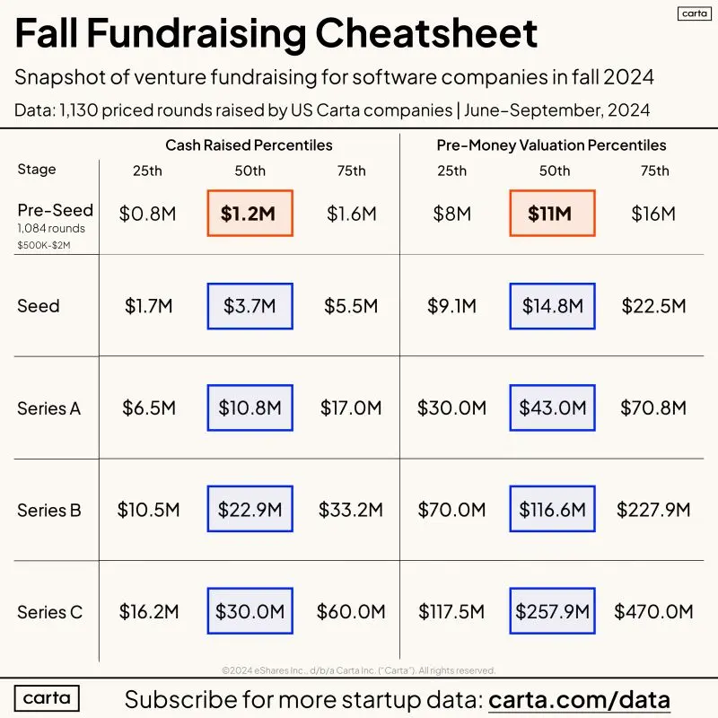 Fall 2024 Fundraising Data for Software Startup Founders