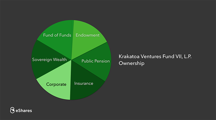 The Ownership Graph: Introduction