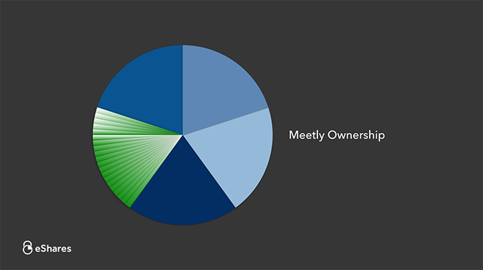 The Ownership Graph: Introduction